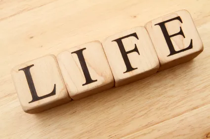 40+ citations sur la vie en anglais avec traduction francaise