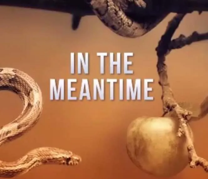 Difference entre "WHILE", "MEANWHILE" et "MEANTIME" en anglais