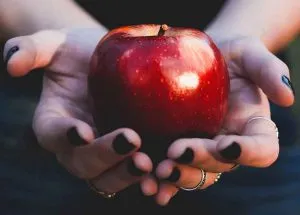 Les fruits en anglais : liste complète avec prononciation