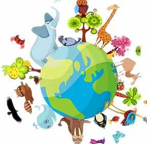 Vocabulaire des animaux en anglais - Tous avoir sur nos amis les bêtes!